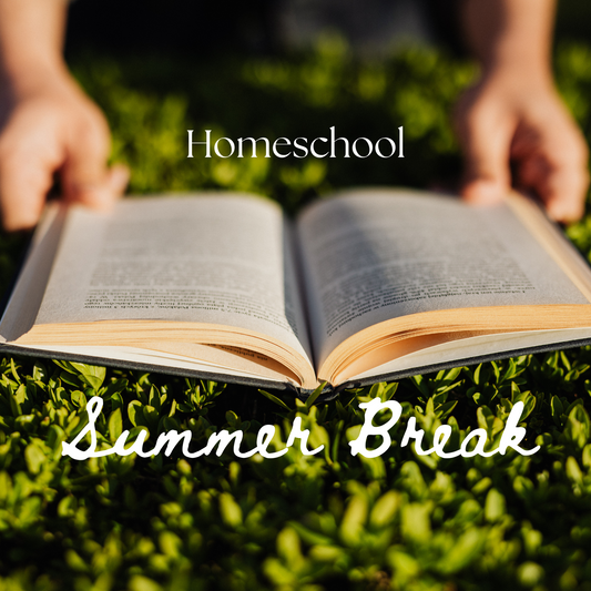 Homeschool Summer Break Ideas